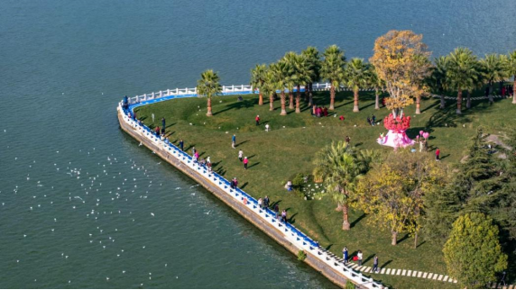 圖片關鍵詞 圖片關鍵詞