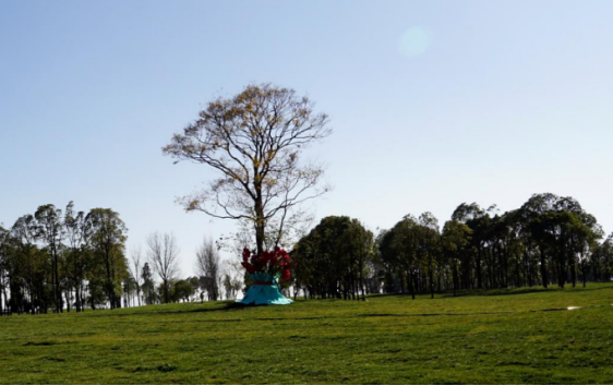 圖片關鍵詞 圖片關鍵詞