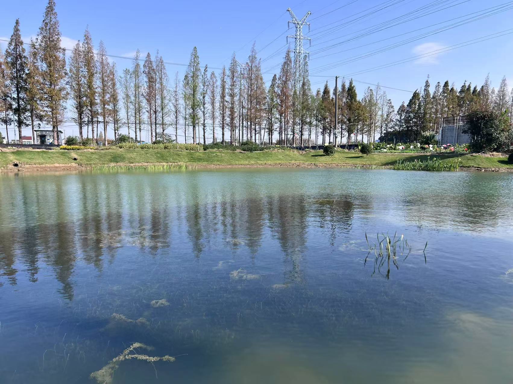 圖片關鍵詞 圖片關鍵詞