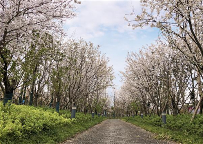 圖片關鍵詞 圖片關鍵詞
