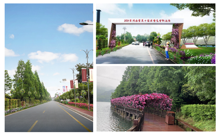 圖片關鍵詞 圖片關鍵詞