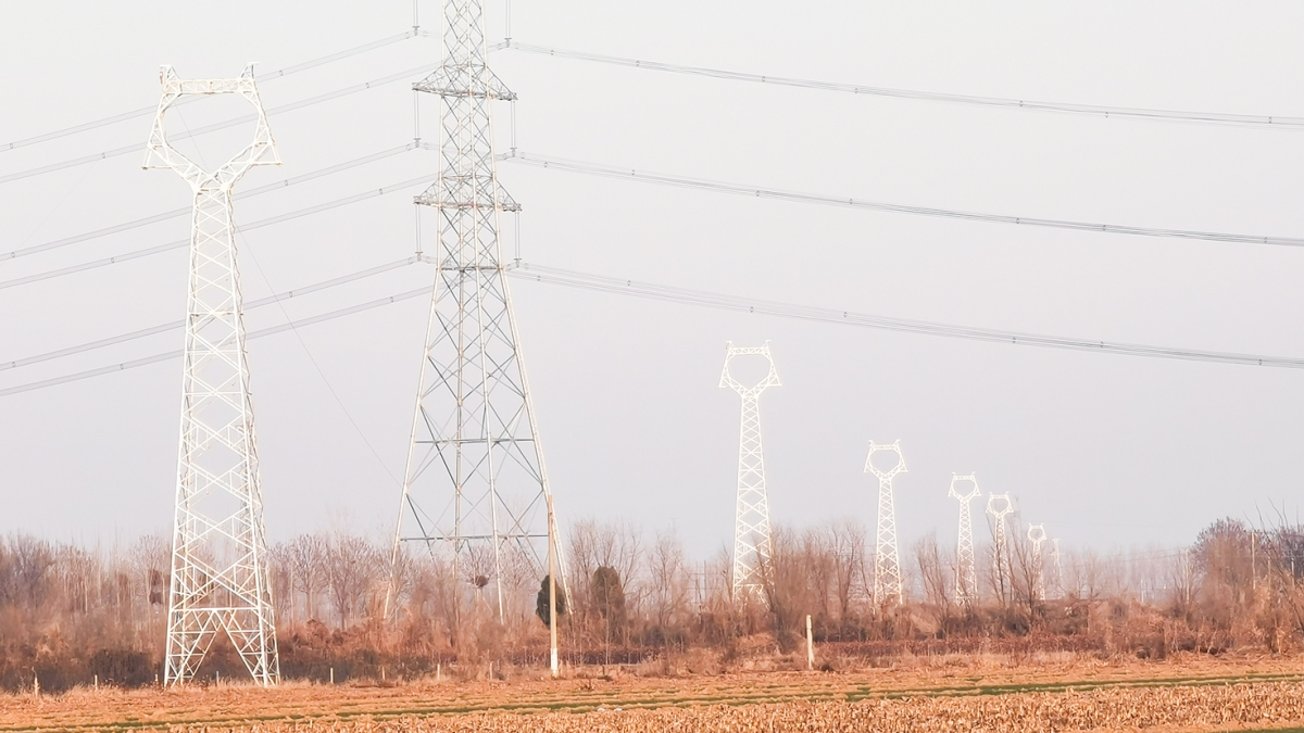 威縣澤恩蔬菜種植有限公司雨養型節水高效蔬菜大棚88MW農光互補發電項目外送線路及對側間隔EPC