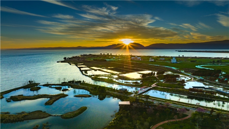 寶豐半島濕地建設項目彰顯中機智慧