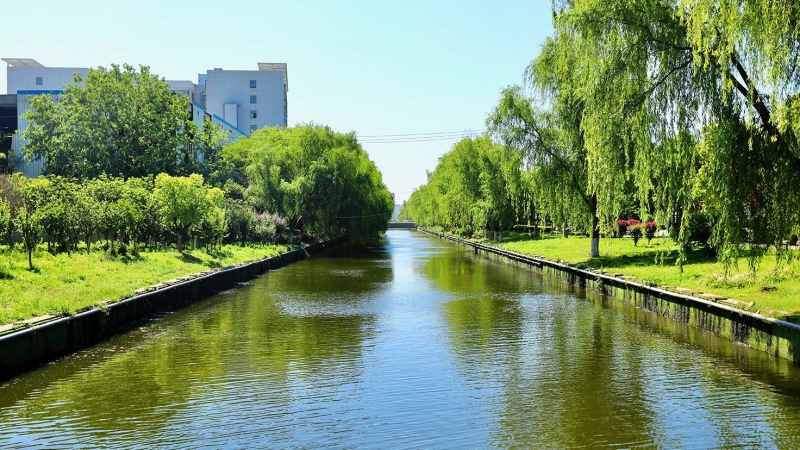 東山國際企業研發園水體環境整治工程