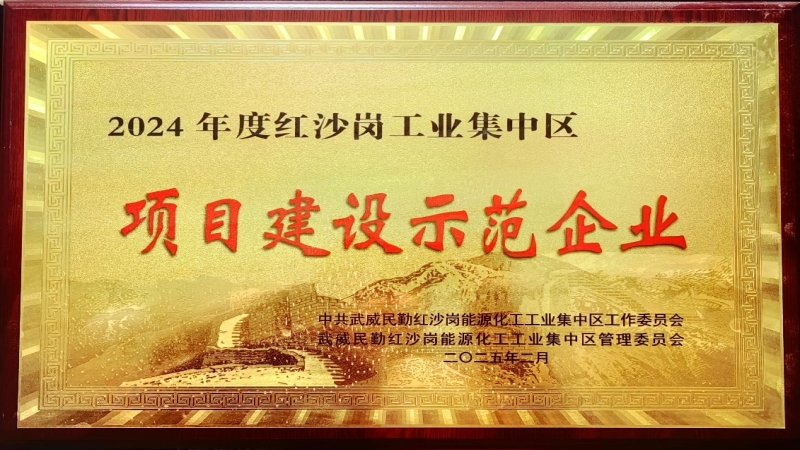 高效履約樹標桿！中機國際被評為民勤紅沙崗工業區 “2024年度項目建設示范企業”