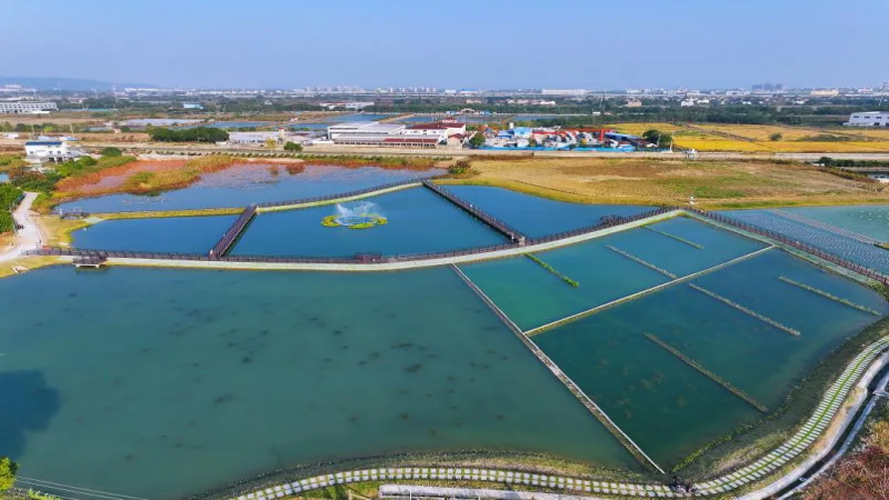 常州雅浦港生態(tài)緩沖區(qū)示范工程項(xiàng)目順利完成竣工驗(yàn)收