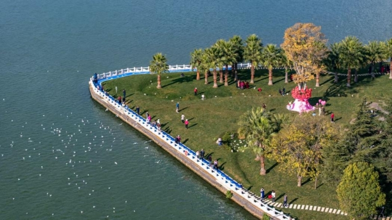 引爆全媒體熱潮！新年慶福保，中機國際助力福保半島鄉村振興建設