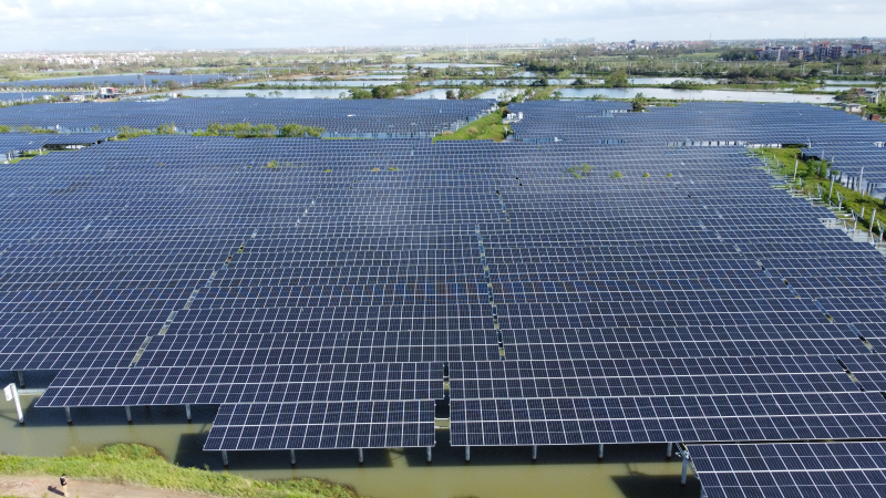 風雨礪初心 堅守鑄豐碑——中機國際粵東粵西新能源項目群成功經受雙臺風考驗