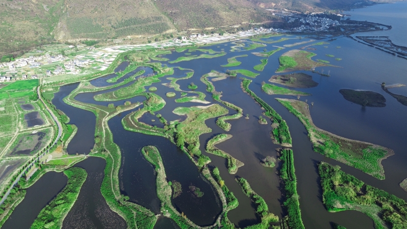 聚焦癥結因地制宜治理  順應自然因勢利導修復 ——高原湖泊生態緩沖帶保護修復新示范