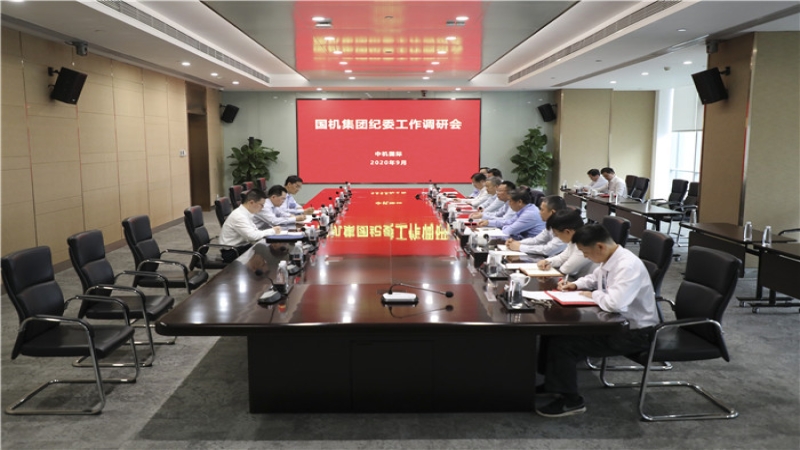 國機集團黨委常委、紀(jì)委書記雷光華一行蒞臨中機國際開展調(diào)研